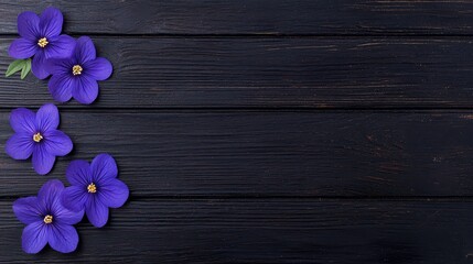 Fototapeta premium Vibrant purple flowers arranged on a dark wooden surface, creating a stunning contrast and natural beauty.