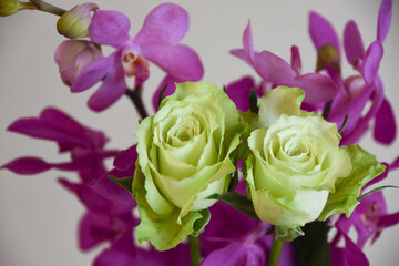 薔薇とアランダ