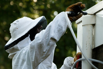 Expert removal of wasp nest from residential area in a suburban neighborhood