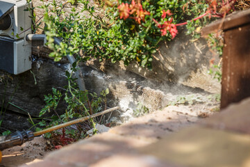 Effective control methods for wespennest verdelgen during summer months in a garden setting