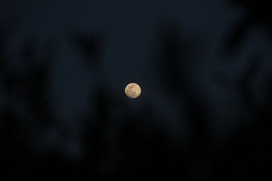 moon in the sky - Powered by Adobe