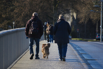 people walking with dog