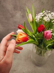 Woman caressing vibrant tulips in glass vase, creating romantic valentine's morning setting in prague's cozy kitchen