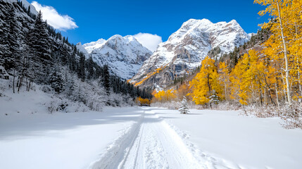 Fototapeta premium Snowy mountain trail, autumn aspen trees, winter landscape, postcard