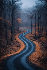 Fototapeta premium Winding dirt road through autumnal forest, bathed in soft, muted light. Brown and gold leaves carpet the ground, trees stand tall, creating a