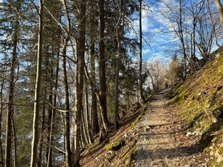 Alpine forest trails in a typical winter environment and over the tourist resort of Engelberg in Swiss Alps - Canton of Obwalden, Switzerland (Kanton Obwald, Schweiz)