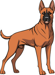 Belgian Malinois dog mascot logo design concept vector illustration white background