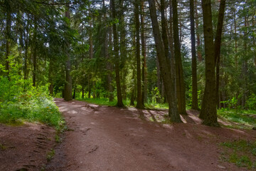 Fototapeta premium trail in Stepanavan Dendropark (Gyulagarak, Lori province, Armenia)