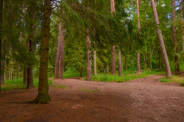 trail in Stepanavan Dendropark (Gyulagarak, Lori province, Armenia)