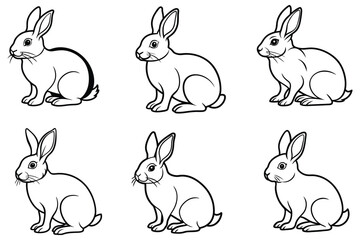 rabbit he sits sideways clear details without line art