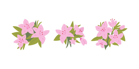 Fototapeta premium Set of pink bouquets of azalea flowers and leaves on isolated background. Vector flat botanical rhododendron illustrations