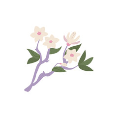 Magnolia flower branch. Floral vector flat illustration on isolated background