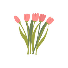 Spring bouquet of pink tulip flowers. Elegant botanical vector flat illustration. Floral clipart for spring holidays, 8 march women's day, birthday, mother's day designs