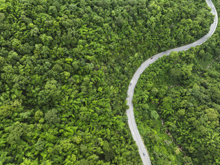 Forest road ,Top view of road in the middle of the forest curve construction up to mountain, panoramic view of Rainforest ecosystem elevated road that surrounds natural forest.