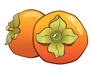 Ripe persimmon, two fruits with a flower and a cutting - vector full color picture with plant food. Bright Fruit of the persimmon tree is a healthy wholesome food.	