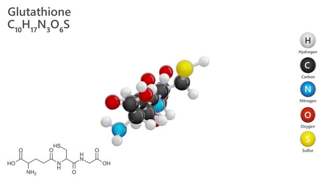 Glutathione. Antioxidant. Animated 3D model of a molecule. Molecular formula: C10H17N3O6S. Chemical model: Ball and stick. White background. 3D rendering. Seamless loop.
