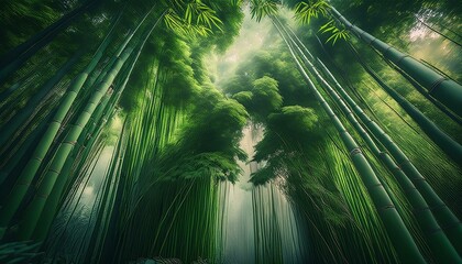  静寂に包まれた竹林の中、風に揺れる青々とした葉