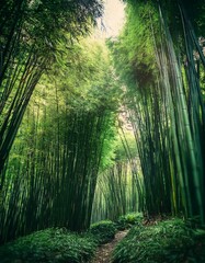 Obraz premium 静寂に包まれた竹林の中、風に揺れる青々とした葉