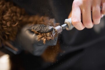 Grooming process for a dog’s paw with nail trimming tool in action