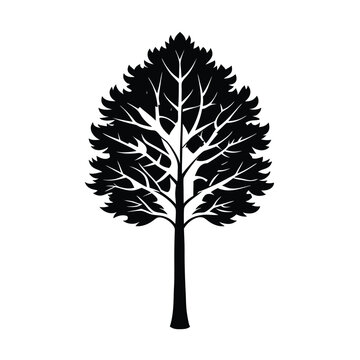 Silhouette of A Bigtooth Aspen tree vector illustration