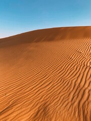 Created with RNI Films app. Preset 'Agfacolor 40's'