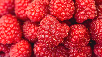 Fresh raspberries as a background, close-up, macro.