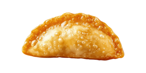 Fried empanada with crispy texture isolated on transparent background
