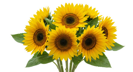 Obraz premium Sunflowers Summer Bouquet
