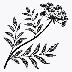 Bai sanicle vector silhouette black design white background