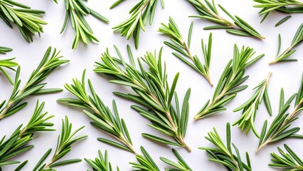 Fototapeta premium Fresh rosemary leaves scattered on a white background, with individual leaves isolated and highlighted in a soft light , green foliage, isolation