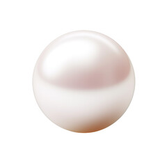 Loose white pearl on a white background transparent png
