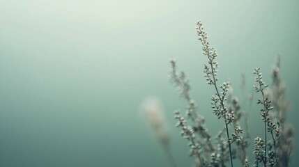 Delicate Green Flora with Soft Focus Background in Natural Setting