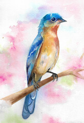 Hand drawn bird sitting on a tree branch. Watercolor illustration.