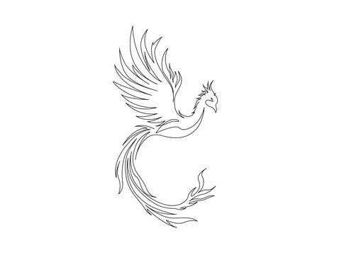 Continuous one line drawing of flying phoenix bird. Flaming phoenix bird in single line draw illustration. Editable stroke.