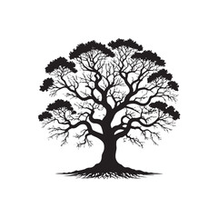 Fototapeta premium tree silhouette vector
