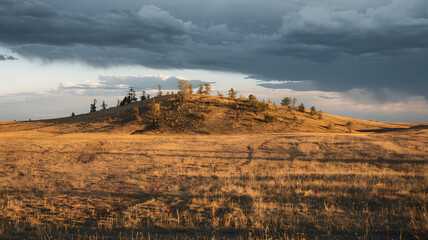Fototapeta premium Vast prairie under dramatic skies, golden grass fields, solitary hill with ancient trees, and contrasting sunlight and storm clouds