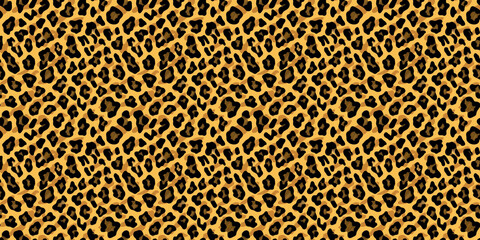Seamless leopard pattern, animal print