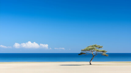 Lone tree on sandy beach, ocean view, clear sky; serenity