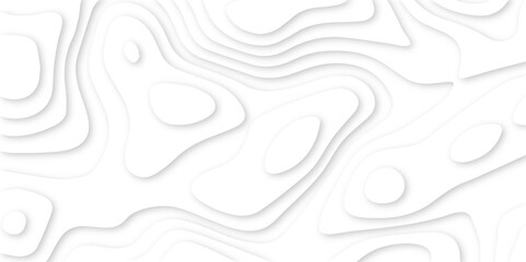 dynamic topographic papercut design. layered topography paper art. creative abstract patterns simulating gentle paper carving techniques. contemporary abstract design in smooth contour lines.