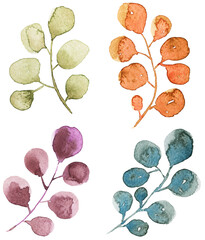 real watercolor, set, eucalyptus, leaves, foliage, branch, illustration, design element, hand painted, painting, watercolor, transparent background, cut out