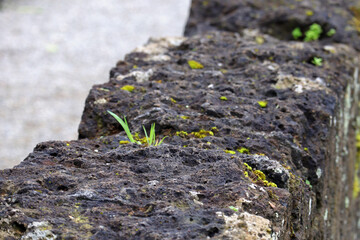 alte Mauer, antik, Steinmauer, Tempel, Vulkansteine