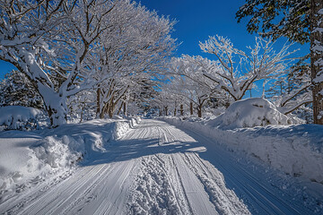 Obraz premium In the vast snow there is an endless path