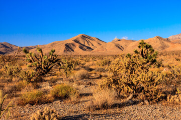 A desert landscape with a blue sky and mountains in the background