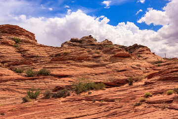 Fototapeta premium A rocky hillside with a few plants growing on it