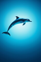 dolphin in the blue water with a long tail