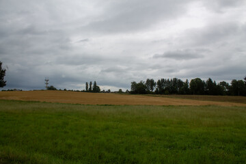 Landscape with a field and trees in a cloudy and gloomy grey weather and clouds on the background