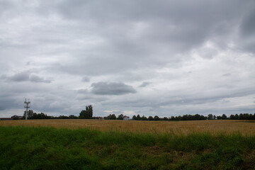Landscape with a field and trees in a cloudy and gloomy grey weather and clouds on the background