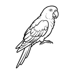 Black and white  Parrot Bird silhouette vector illustration.
