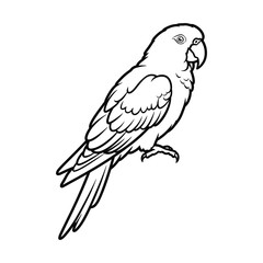 Black and white  Parrot Bird silhouette vector graphic.