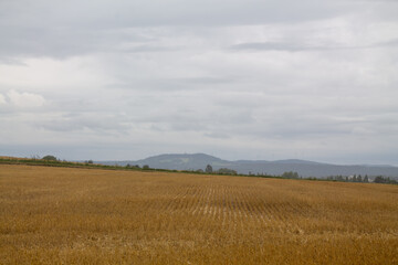 Landscape with a yellow field and trees in a cloudy and gloomy grey weather and hills or small mountains on the background on the horizon in Germany